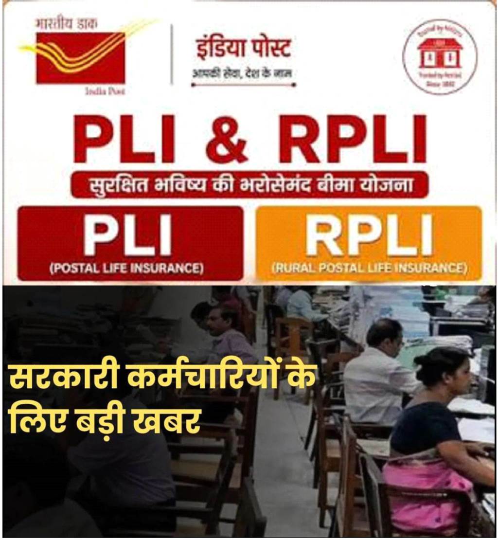 Eligible employees can work as Other Departmental Employees ODE for PLIRPLI